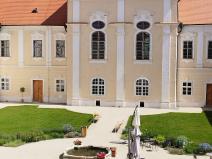 IMG_20250612_105241