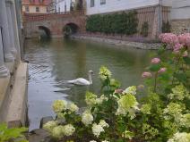 IMG_20240717_121330