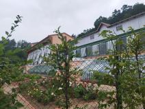 IMG_20240717_130005