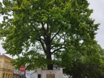 IMG_20240424_112904
