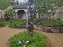 IMG_20240424_141718