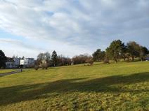 IMG_20230201_151840