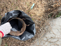 processed-23B1C5CC-9FA4-43FB-9E84-BF3C353B5729