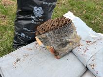 processed-F3C41A2A-D092-42FC-B4A2-1523D485BD40